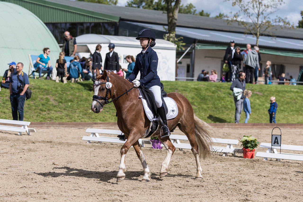 Bild 641 - Pony Akademie Turnier